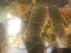 -泰华海鲜中餐厅(普吉镇店)