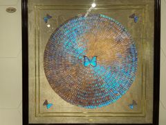 -上海昆虫博物馆