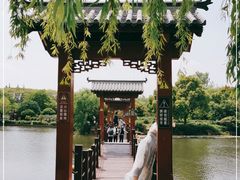 -尚湖风景区