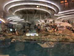 -帝企鹅自助餐厅•儿童岛•真企鹅(长隆企鹅酒店)