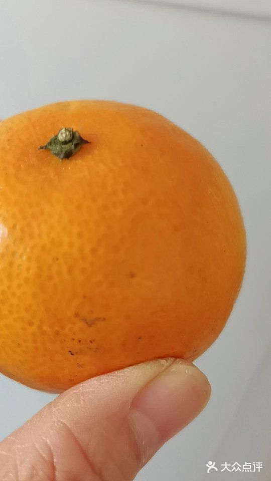 网红果冻橙哪家性价比高，我选淘菜菜！