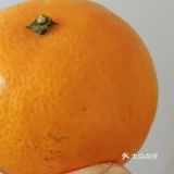 网红果冻橙哪家性价比高，我选淘菜菜！