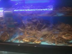 -阿伟海鲜楼·福建菜(延寿店)