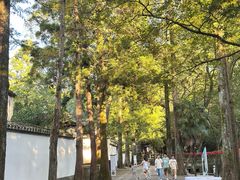 -白鹿洞书院