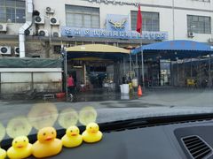 -蚝专家(北滘店)