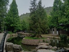 -白水寺森林公园