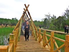 -溱湖国家湿地公园