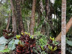 -海南热带野生动植物园