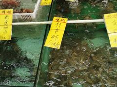 -鸿达渔港