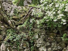 -绮园景区