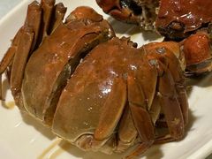 -呼吸森林·生态农庄农家乐私房菜