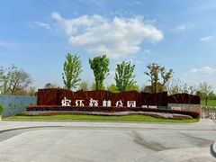-上海滨江森林公园