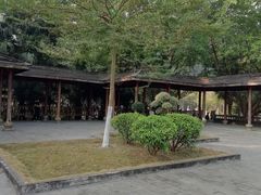 -滴水岩森林公园
