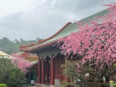 -珠海圆明新园