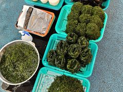 -西归浦每天偶来市场