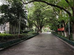 -杭州半山国家森林公园