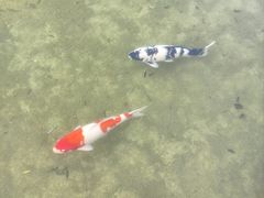 -和县香泉温泉度假村