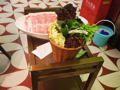 -洪氏嗨捞·广东猪肚鸡·椰子鸡火锅(西咸万象城店)
