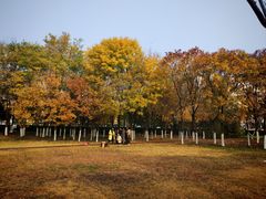 -南翠屏公园