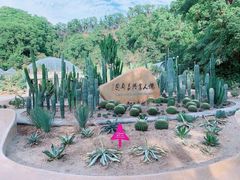 -深圳仙湖植物园