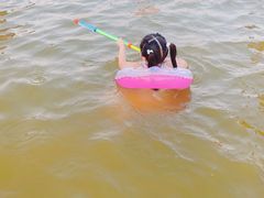 -碧海金沙