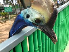 -西霞口神雕山野生动物世界