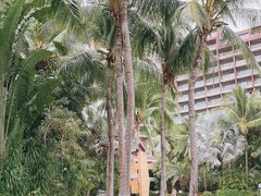 -三亚湾海居铂尔曼度假酒店