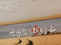 -杨厨的田园饭店(长城路店)