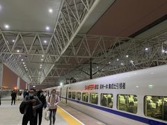 -临平南高铁站(地铁站)
