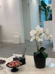 -芙芬芳·半永久纹眉（深圳旗舰店）