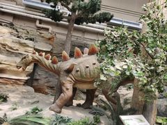 -国家自然博物馆