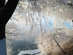 -雾凇岛
