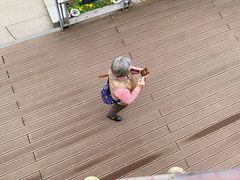 -苏州河梦清园环保主题公园