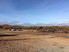 -塞罕坝国家级自然保护区