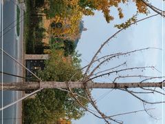 -狼山风景名胜区