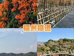 -福道