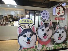 -Husky Go! 哈士奇体验馆·宠物咖啡厅狗咖