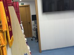 -博特宠物医院24h犬猫全科.骨科·异宠