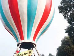 -铁山坪森林公园