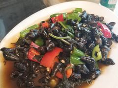 紫苏山坑螺-竹庄餐馆·26年店(南昆山景区店)