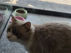-小呆的宠物店·宠物售卖·宠物寄养(城西店)
