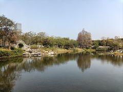 -四海公园(南山区)
