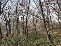 -金陵矩阵(聚宝山公园店)
