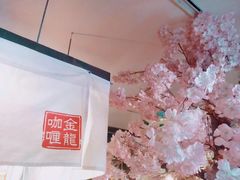-金龙咖喱