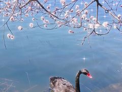 -颐和园