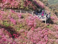 -木兰云雾山