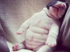 -临沂华盛江泉城大酒店