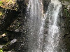 -藏龙百瀑风景区