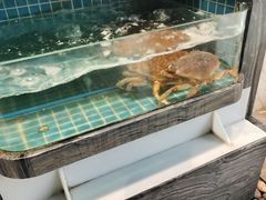-阿娘家·原生态农家菜(国顺东路店)