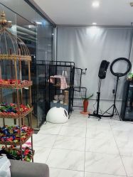 -镁连社·美联社